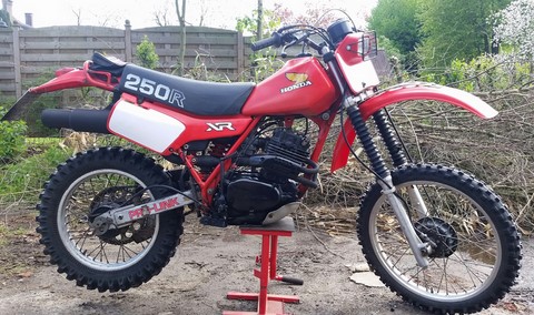 Yamaha Ténéré 600 Belgique